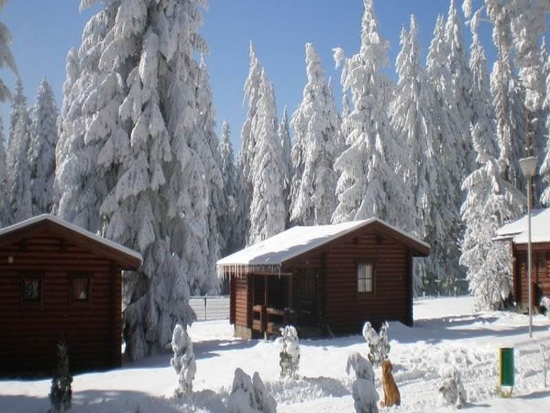 Villa Yagoda Borovets Buitenkant foto